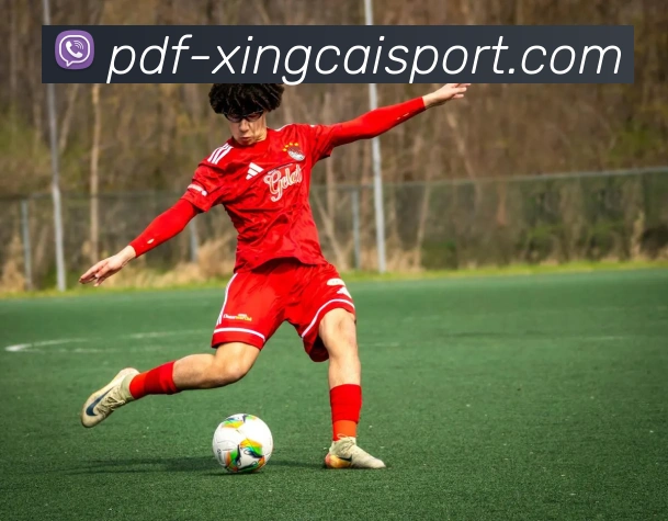 杏彩体育APP 体育赛事宣传图